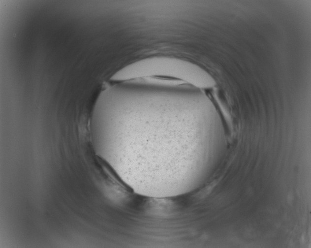 X0000081340429200702082233
