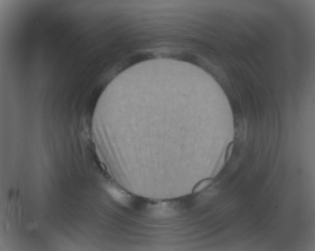 X0000081340430200702082233