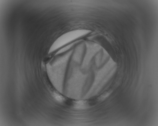 X0000081340432200702082233
