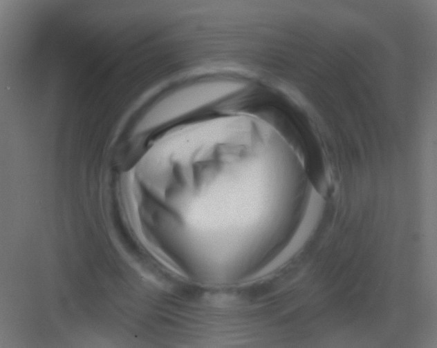X0000081340440200702082233