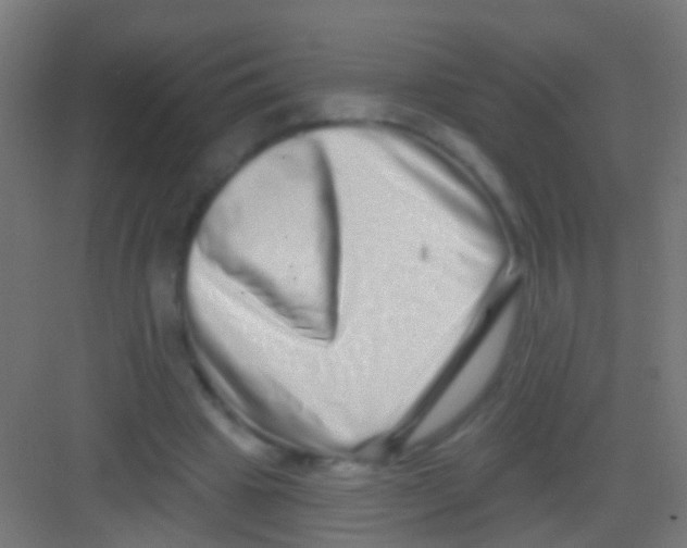 X0000081340441200702082233