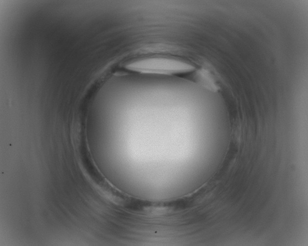 X0000081340448200702082233
