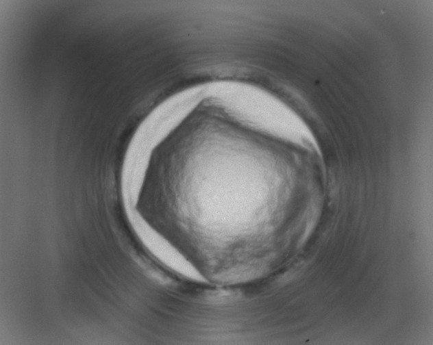X0000081340453200702082233