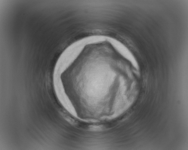 X0000081340457200702082233