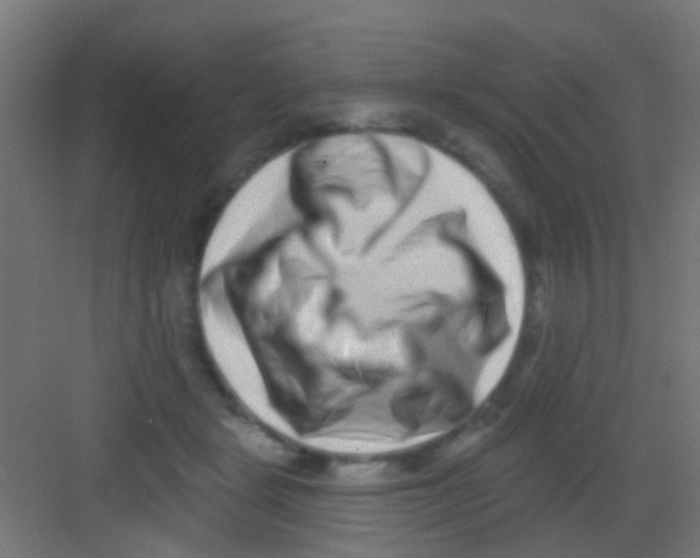 X0000081340461200702082233