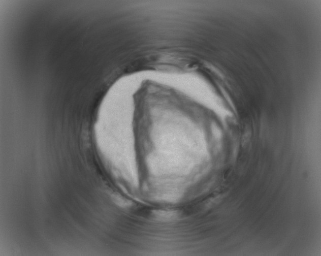 X0000081340469200702082233