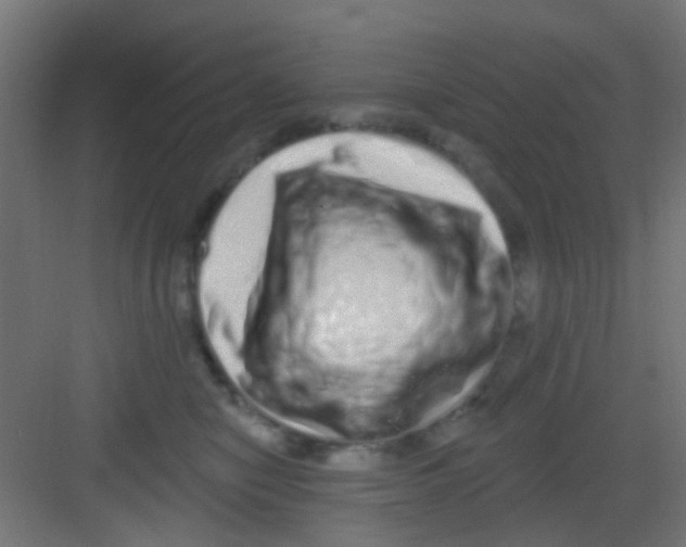 X0000081340470200702082233