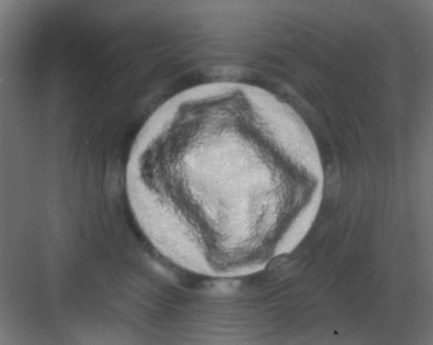 X0000081340474200702082233