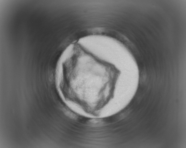 X0000081340477200702082233