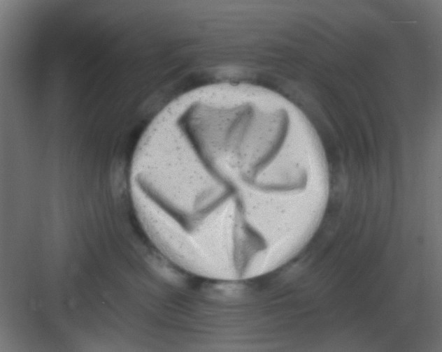 X0000081340478200702082233