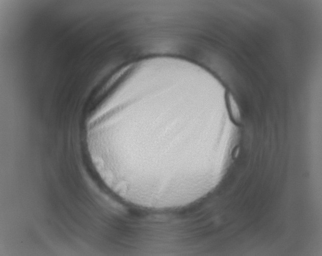 X0000081340482200702082232
