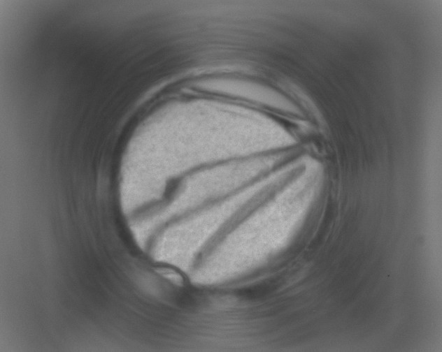 X0000081340483200702082232