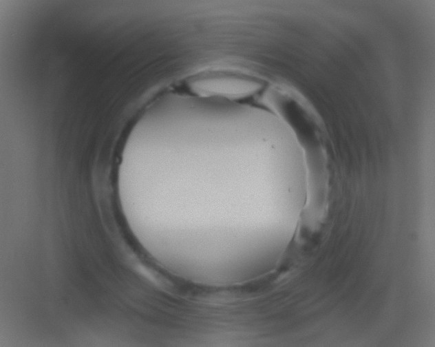 X0000081340485200702082232