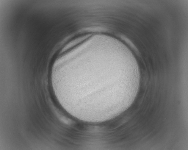 X0000081340486200702082232