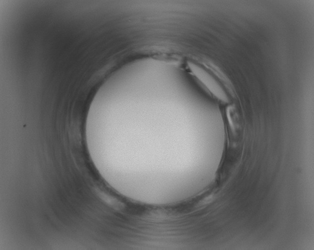 X0000081340489200702082232