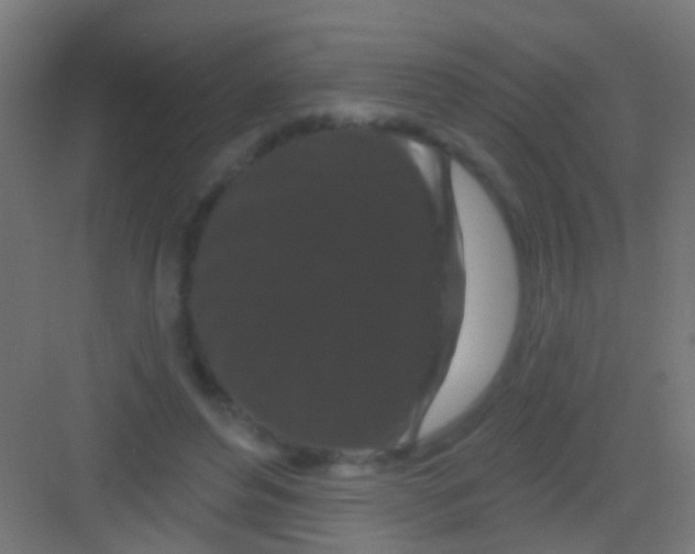 X0000081340496200702082232
