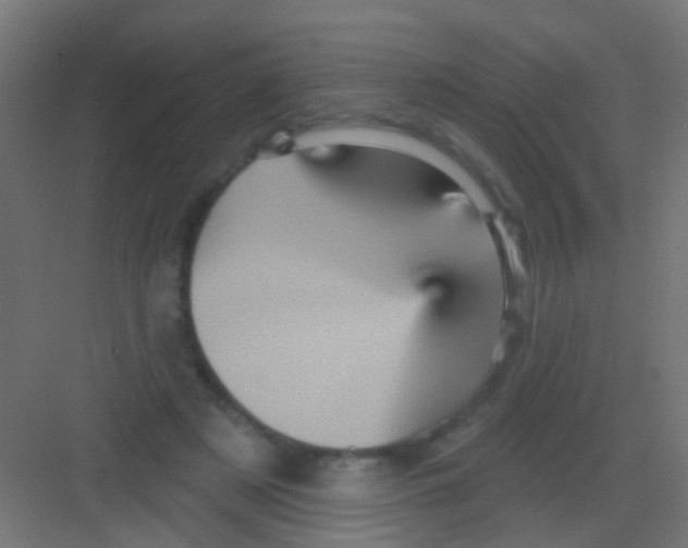 X0000081340497200702082232