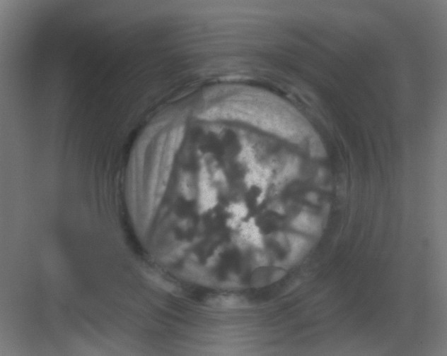 X0000081340503200702082232