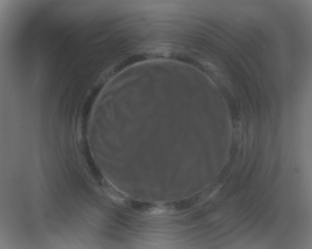 X0000081340504200702082232