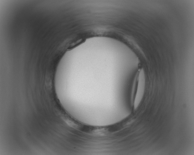 X0000081340505200702082232