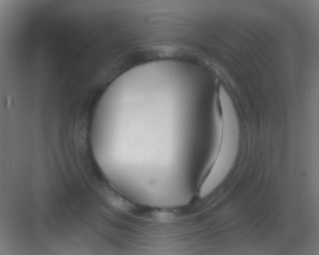 X0000081340509200702082232