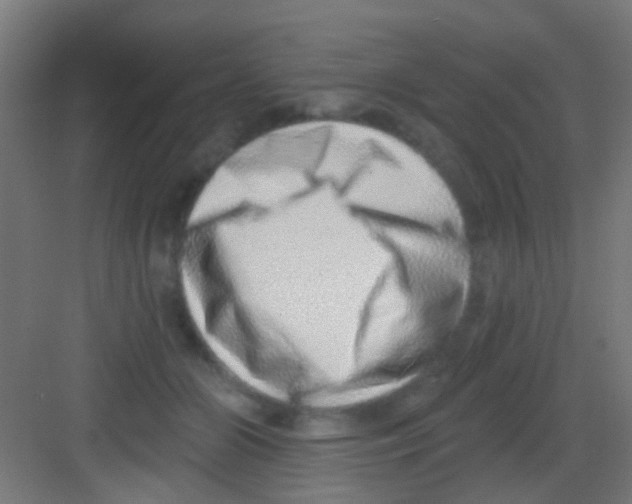 X0000081340510200702082232