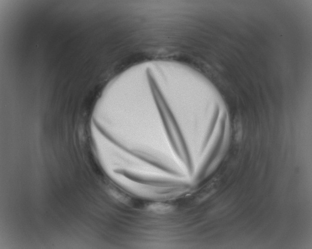 X0000081340515200702082232