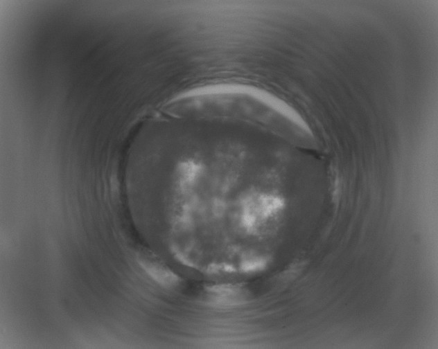 X0000081340516200702082232