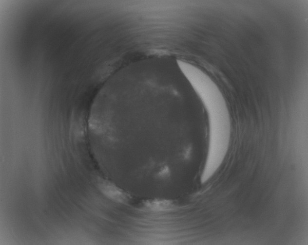 X0000081340517200702082232