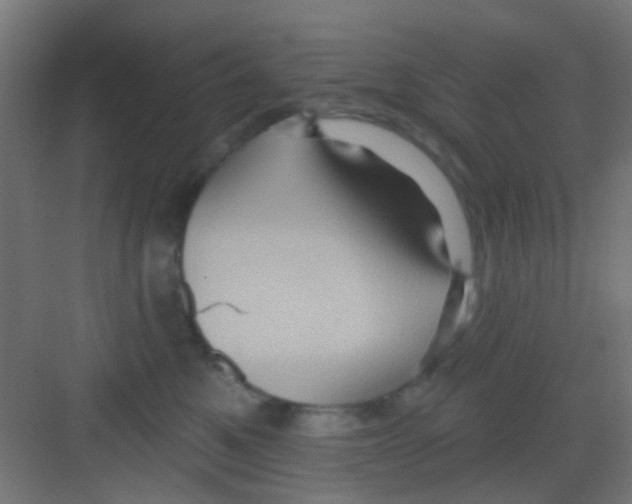 X0000081340521200702082232