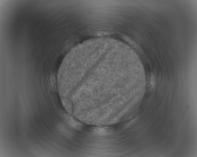 X0000081340523200702082232