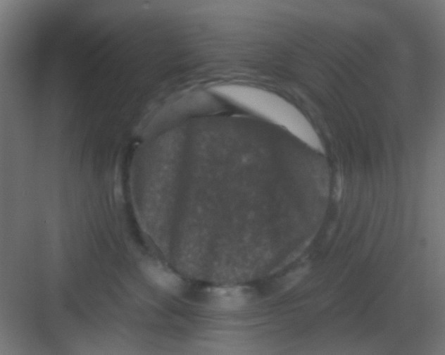 X0000081340524200702082232