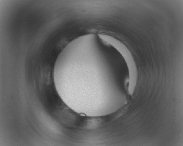 X0000081340525200702082232