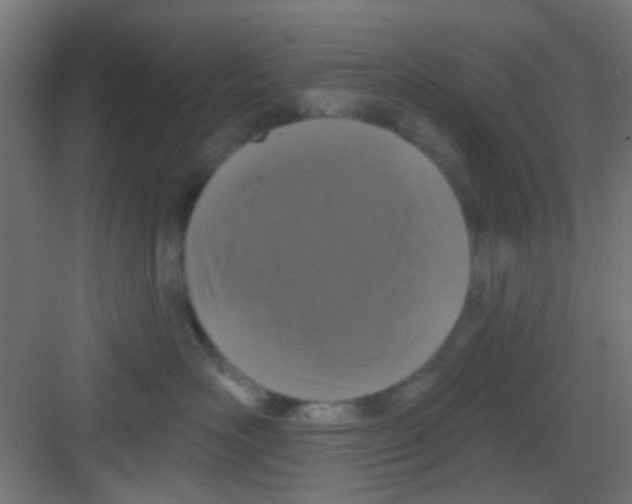 X0000081340526200702082232