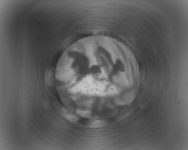 X0000081340527200702082232