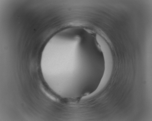 X0000081340530200702082231