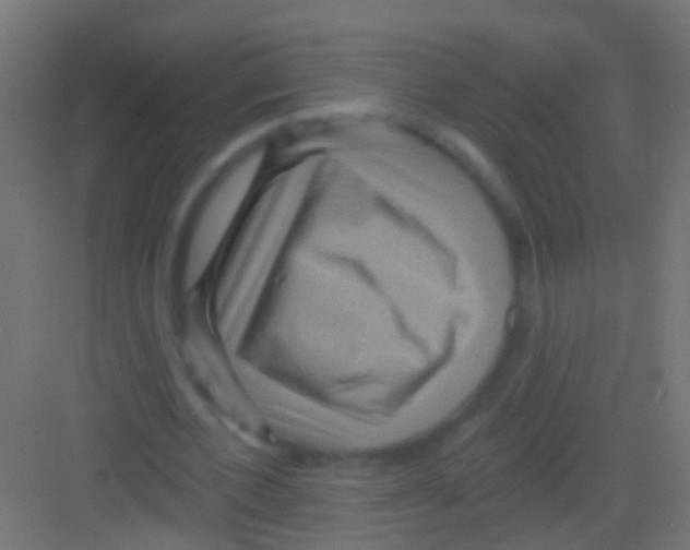 X0000081340532200702082231
