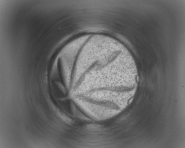 X0000081340535200702082231