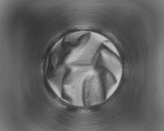X0000081340543200702082231