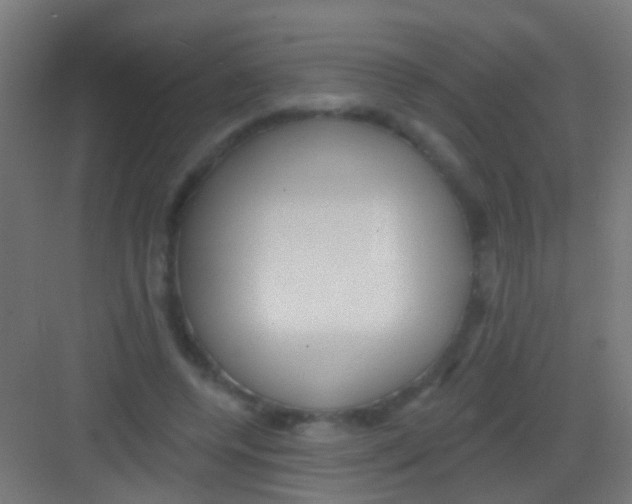 X0000081340544200702082231