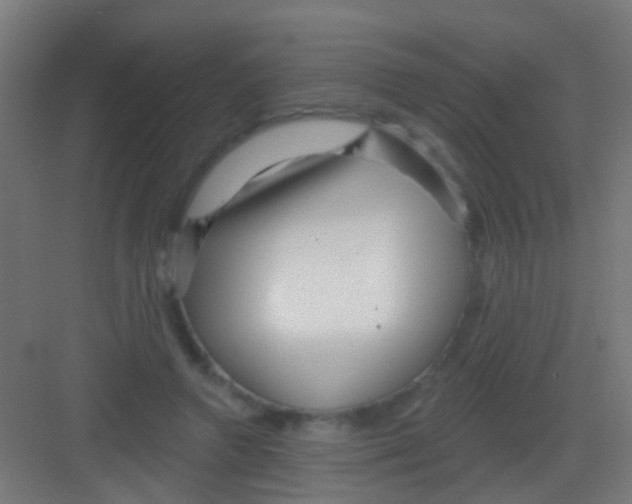 X0000081340546200702082231