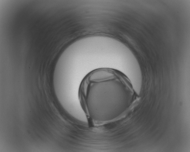 X0000081340548200702082231