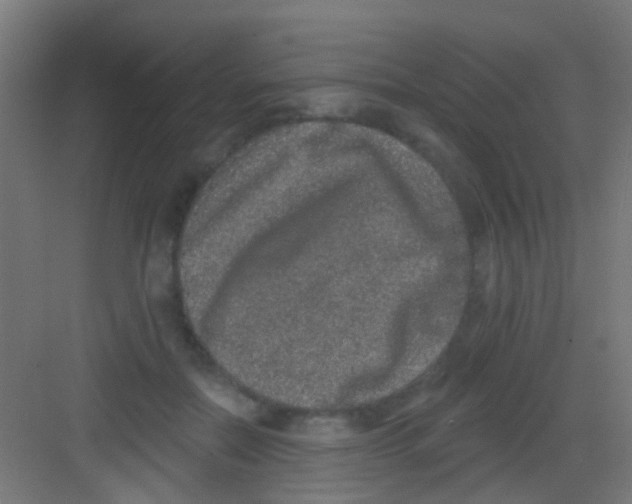 X0000081340554200702082231