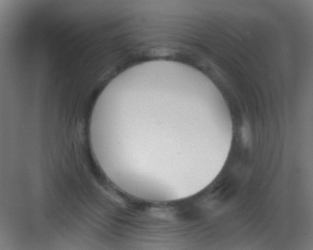 X0000081340556200702082231