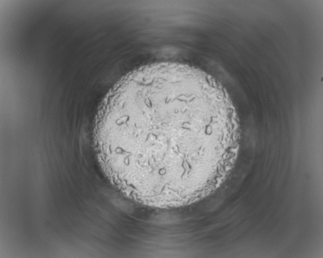 X0000081340561200702082231
