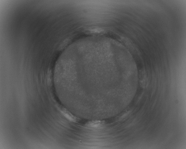 X0000081340563200702082231