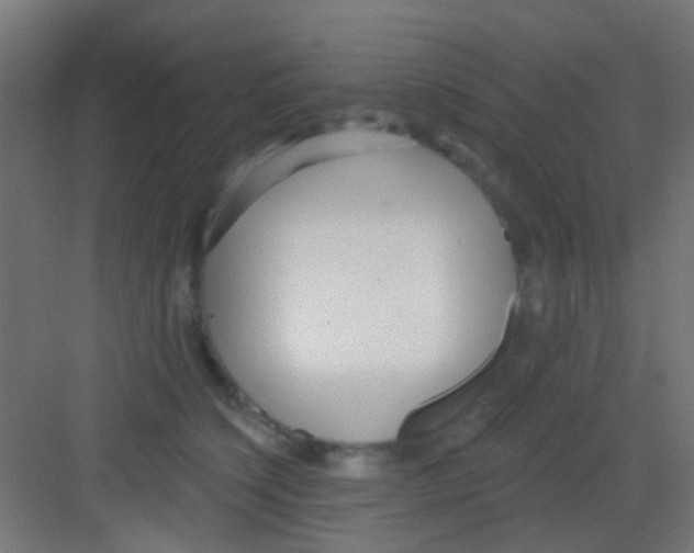 X0000081340564200702082231