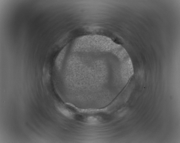 X0000081340566200702082232