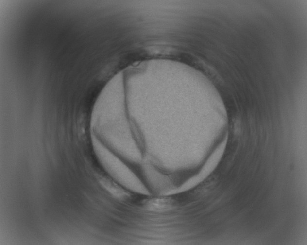 X0000081340567200702082232