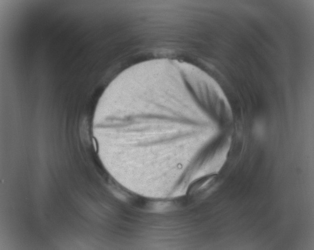 X0000081340575200702082232